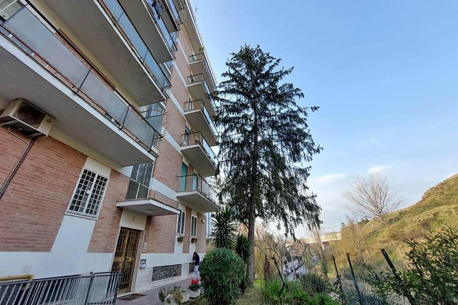 La Casa Di Flavia Hotel Рим Екстериор снимка